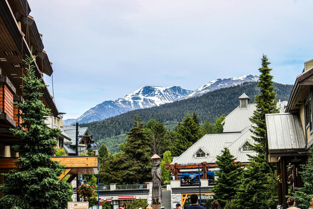 Whistler Wanderer: A Savvy Guide to Selecting the Perfect Mountain Retreat
