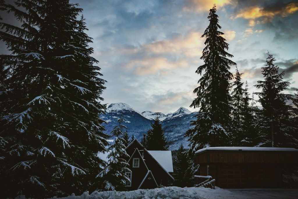 Experience the Scenic Journey: Vancouver to Whistler Limo Tour Guide