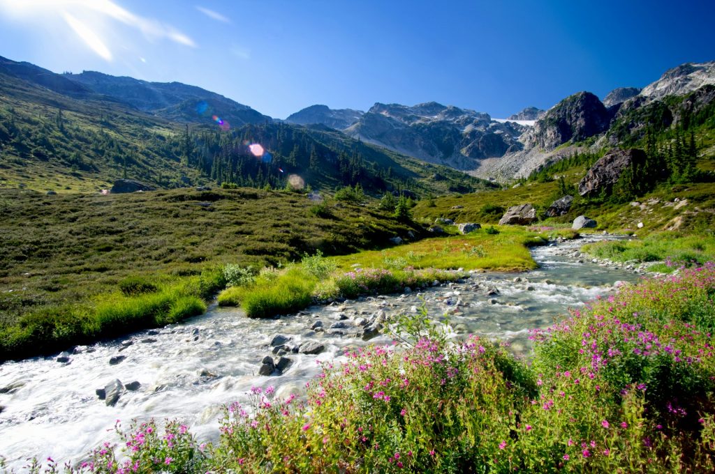 Whistler’s Wonders: Must-Visit Attractions in Canada’s Alpine Paradise